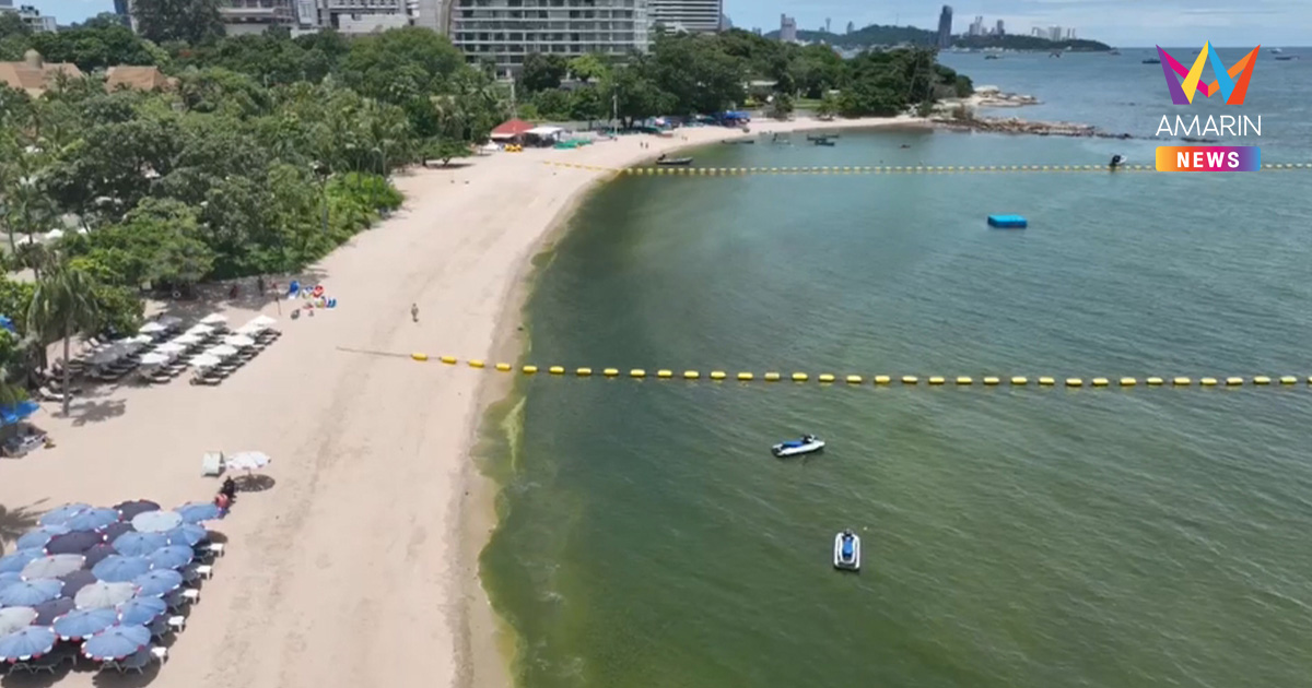 ทะเลเขียว หลังเกิดปรากฏการณ์ แพลงก์ตอนบลูม ชายหาดวงศ์อมาตย์