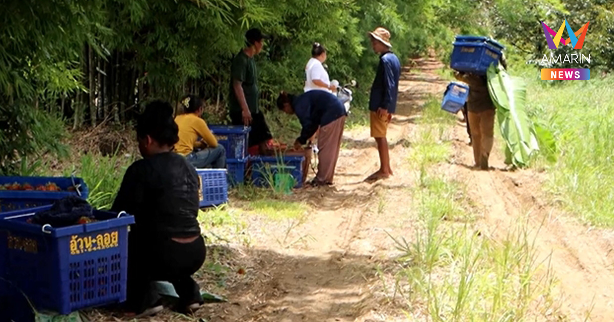 แรงงานเขมร เผย ไม่อยากกลับกัมพูชา อยู่ไทยรายได้-สวัสดิการดี