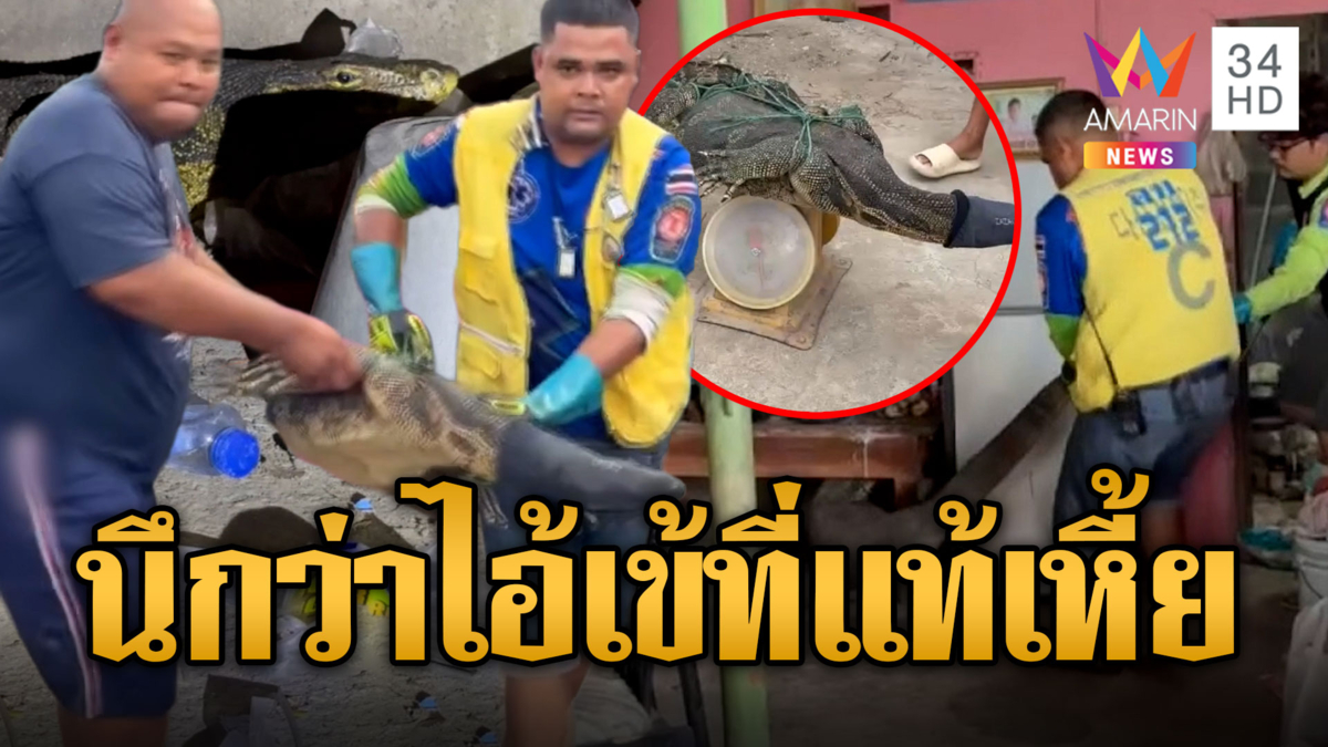 นึกว่าจระเข้ที่แท้ตัวเหี้ยยักษ์วิ่งเข้าบ้าน