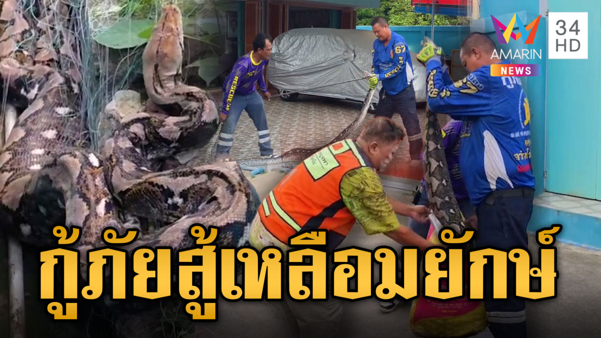 กู้ภัยช่วยระทึกงูเหลือมยาว 4 เมตร เขมือบแมวติดท่อ