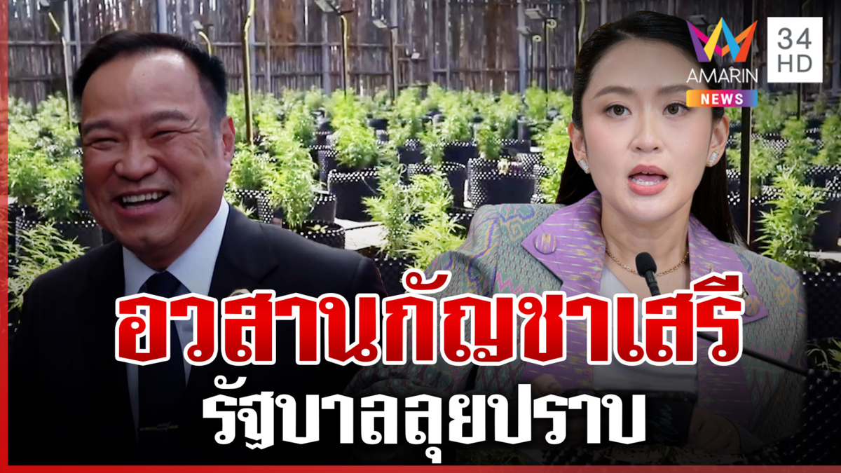 จบแล้ว "กัญชาเสรี" รัฐบาลลุยปราบ ไร้นัยการเมือง