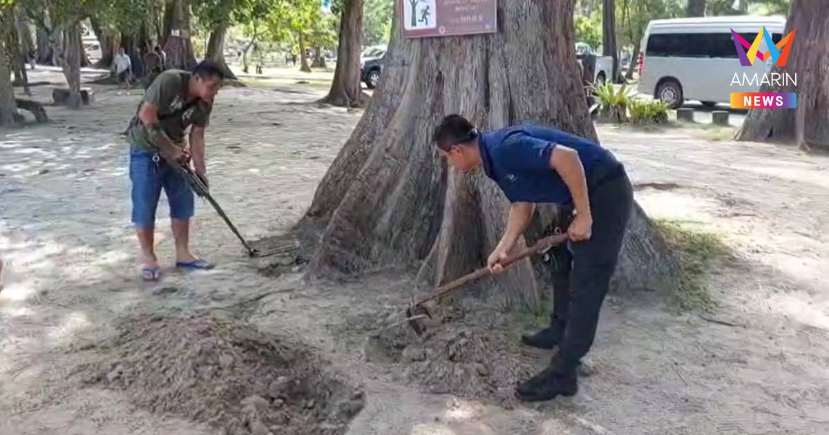 เจออีก 1 จุด! จนท.กระบีปูพรหมค้นหาวัตถุระเบิด พบฝังใต้ต้นไม้สวนสน