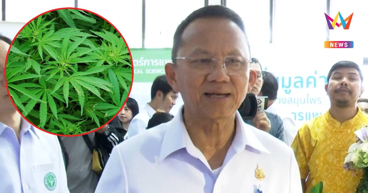 "สมศักดิ์"ชี้มีใบสั่งแพทย์ซื้อกัญชาได้ ให้เวลาผู้ประกอบการระบายของ