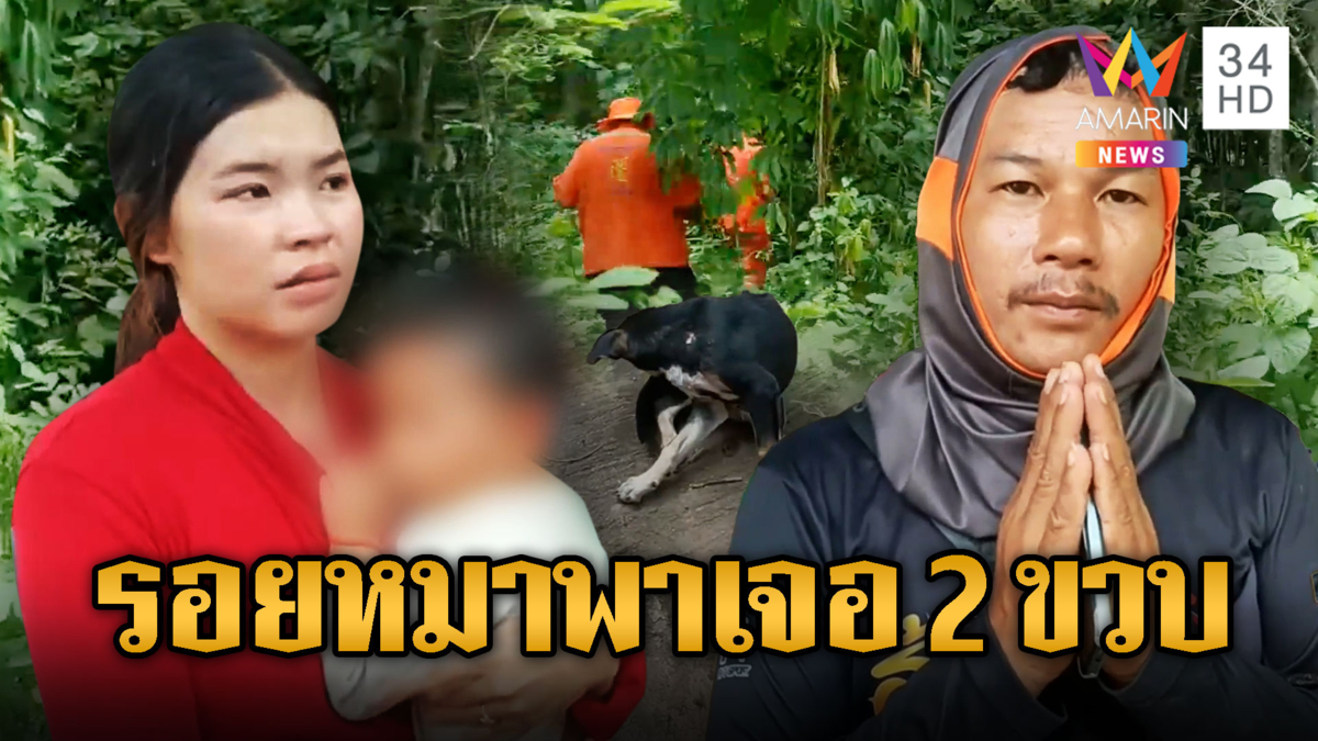 พลิกแผ่นดินหา เด็ก 2 ขวบหายพร้อมลูกหมา