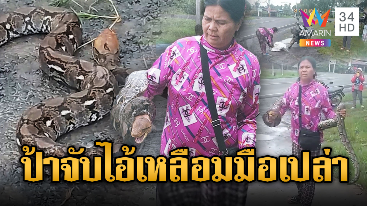 ป้าเขมรใจกล้าโชว์จับเหลือม 3 เมตรด้วยมือเปล่า