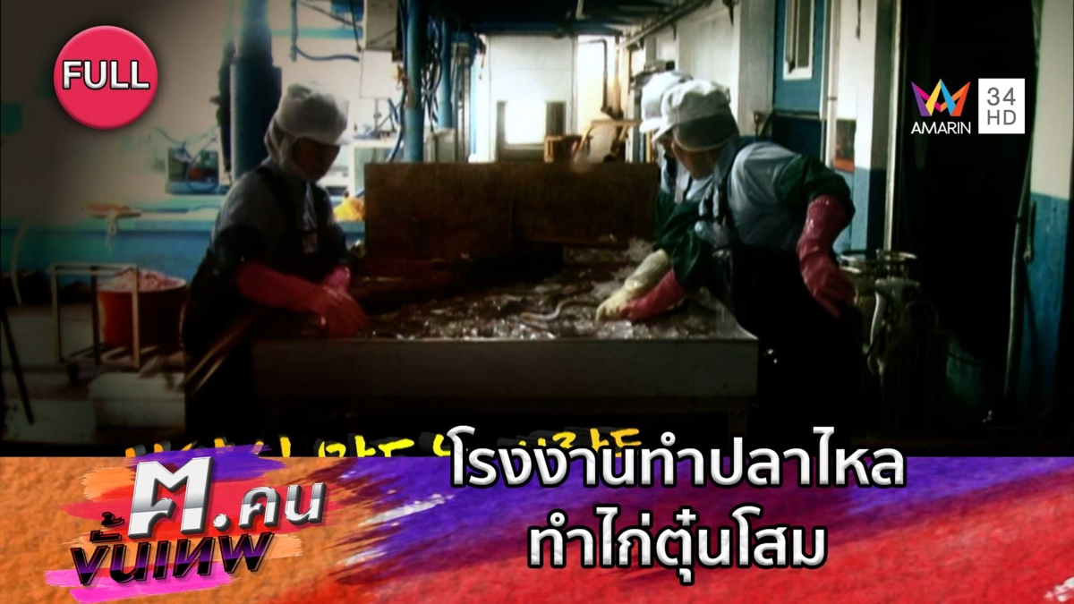 โรงงานทำปลาไหล ทำไก่ตุ๋นโสม | ฅ.คนขั้นเทพ