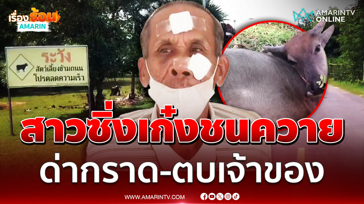 สาวขับเก๋งชนควาย ชี้หน้าด่า-คว้าป้ายทะเบียนตบเจ้าของ