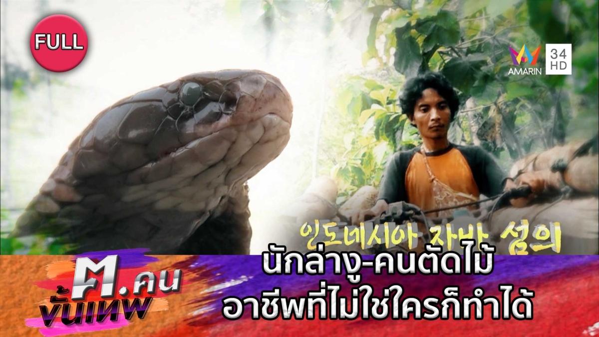 นักล่างู-คนตัดไม้ อาชีพท้าทายที่ไม่ใช่ใครก็ทำได้ | ฅ.คนขั้นเทพ