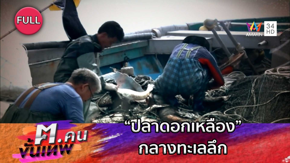 ภารกิจจับ “ปลาดอกเหลือง” กลางทะเลลึก | ฅ.คนขั้นเทพ