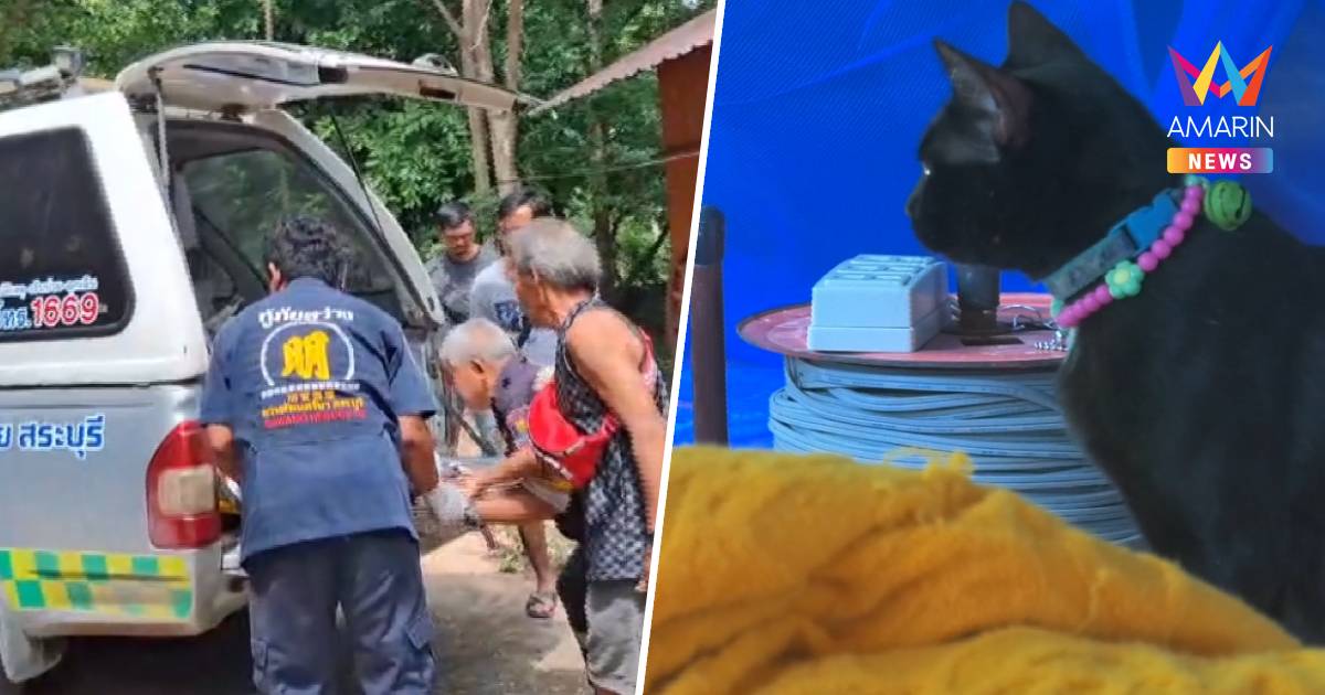 พระผู้ใหญ่มรณภาพปริศนาคากุฎิ แมวดำนอนเฝ้าไม่ห่าง