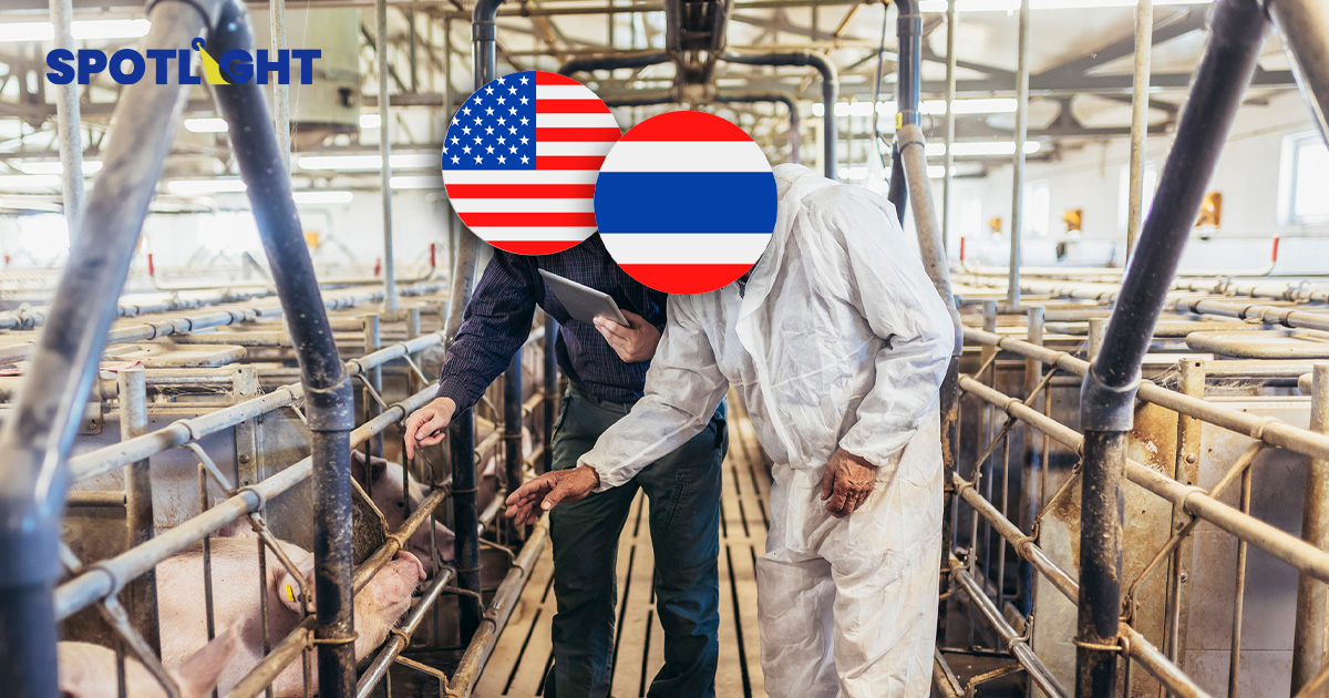 ธุรกิจเนื้อหมูไทยส่อเสียหาย 1.1 แสนล้าน หากปล่อยสหรัฐฯ เจาะตลาด