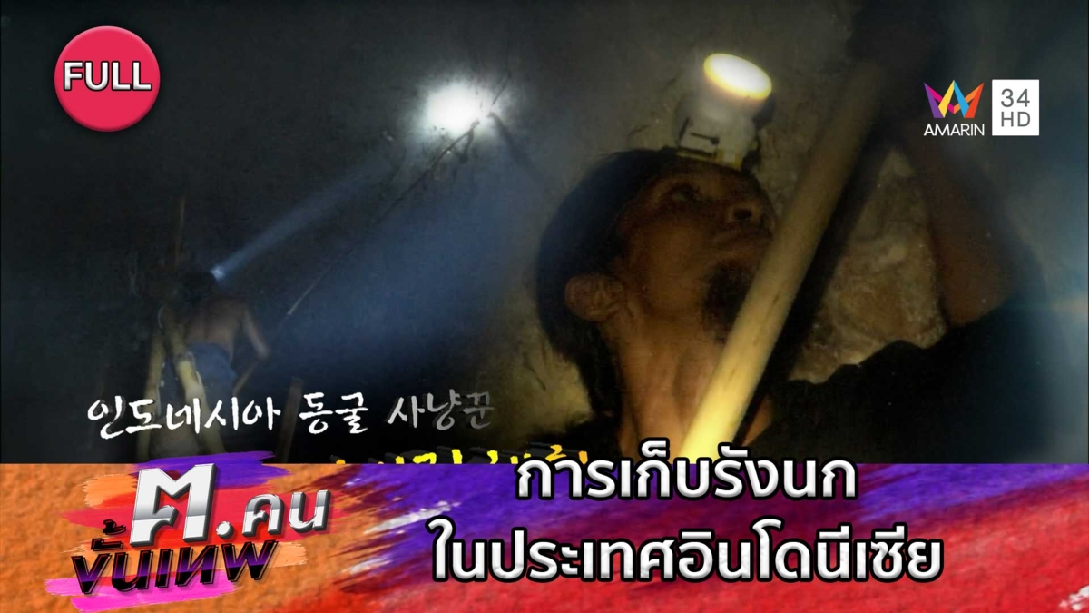 การเก็บรังนกในประเทศอินโดนีเซีย | ฅ.คนขั้นเทพ