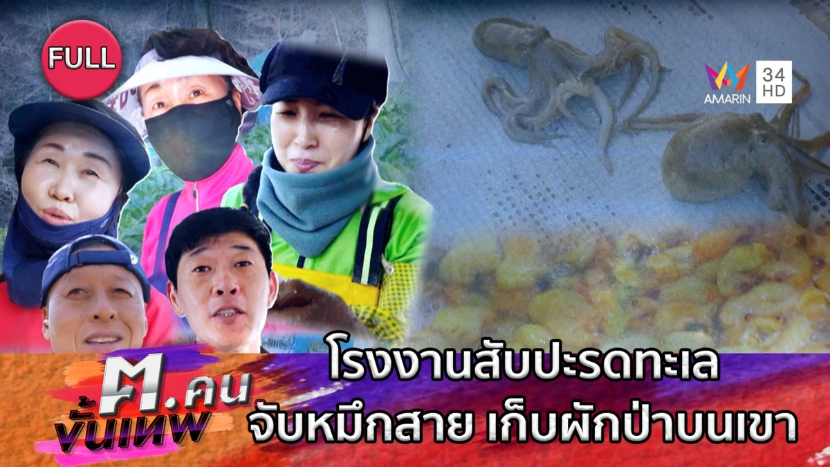 โรงงานสับปะรดทะเล จับหมึกสาย เก็บผักป่าบนเขา | ฅ.คนขั้นเทพ