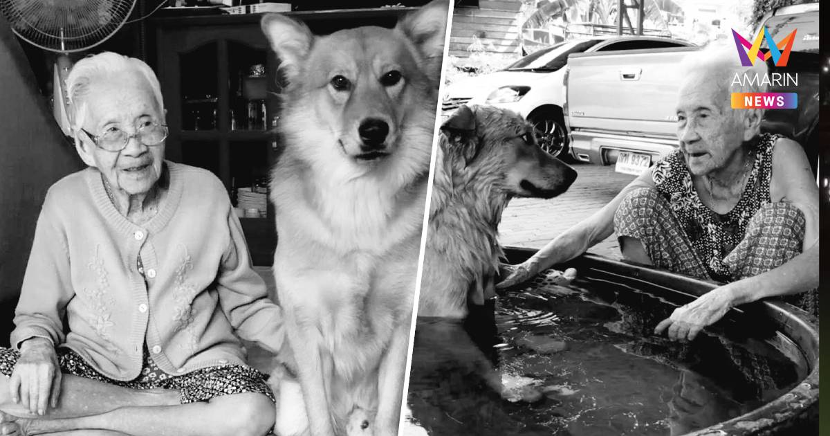 แห่อาลัย "คุณยาย" เพจลีโอไอ้หนูของยาย เสียชีวิต