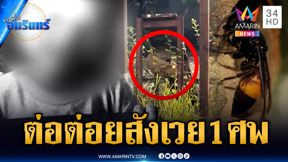ทำลายรังต่อหัวเสือ รุมต่อยเด็ก 2 ขวบดับ-พ่อเจ็บ