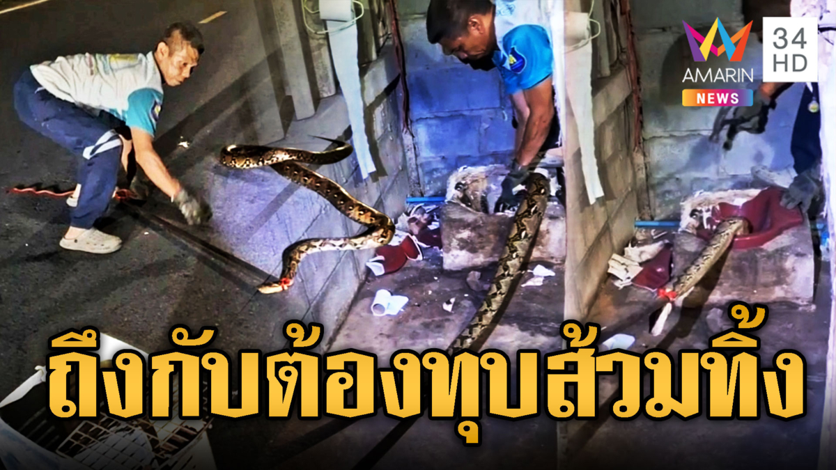ทุลักทุเล กู้ภัยทุบส้วมจับเหลือม 4 เมตรซุกโถ