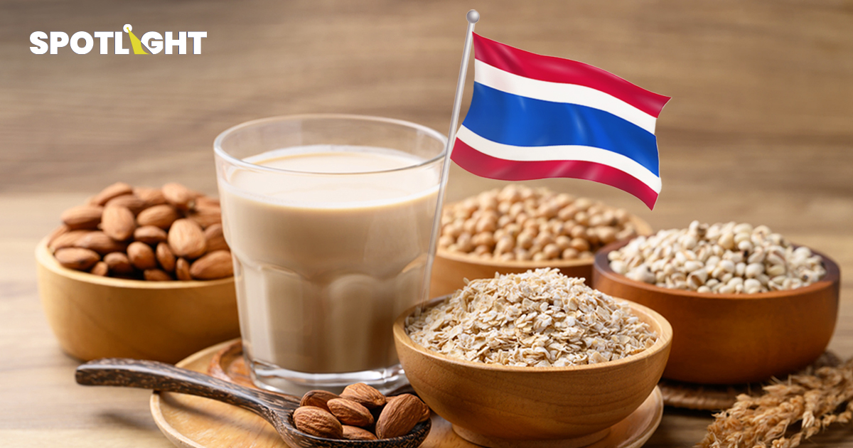 โอกาสไทยในตลาดโปรตีนพืช ลงทุนน้อยผลตอบแทนมาก