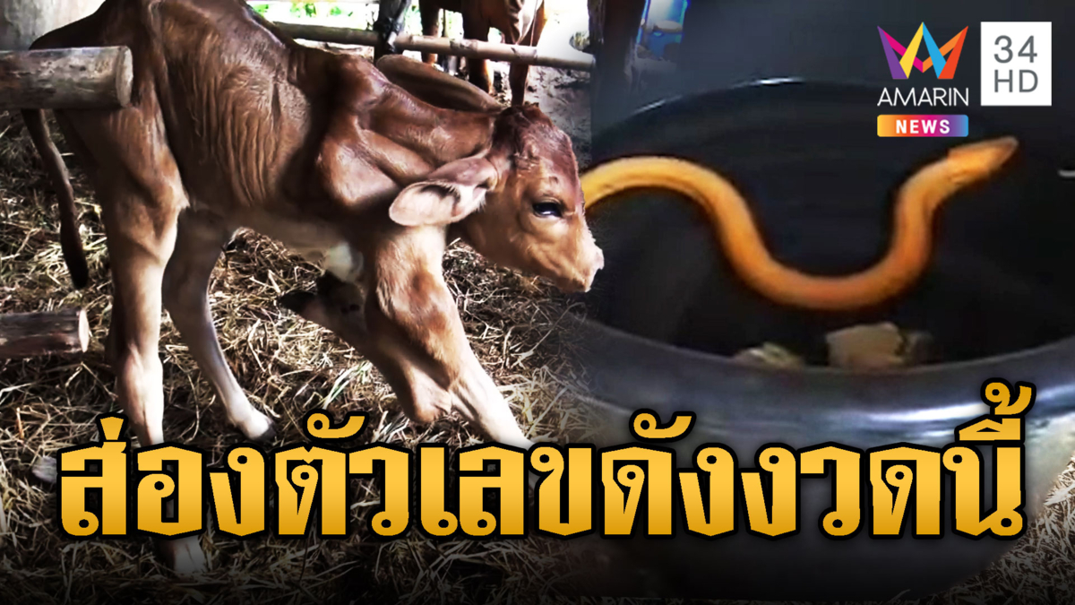 วันนี้รวยหวยออกแล้ว