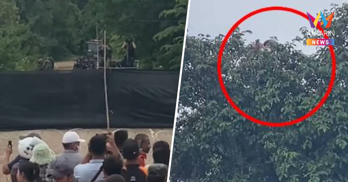 เอาอีกแล้ว! เปิดภาพ อินฟลูฯเขมรปีนขึ้นยอดต้นไม้ แอบส่องดูฝั่งไทย