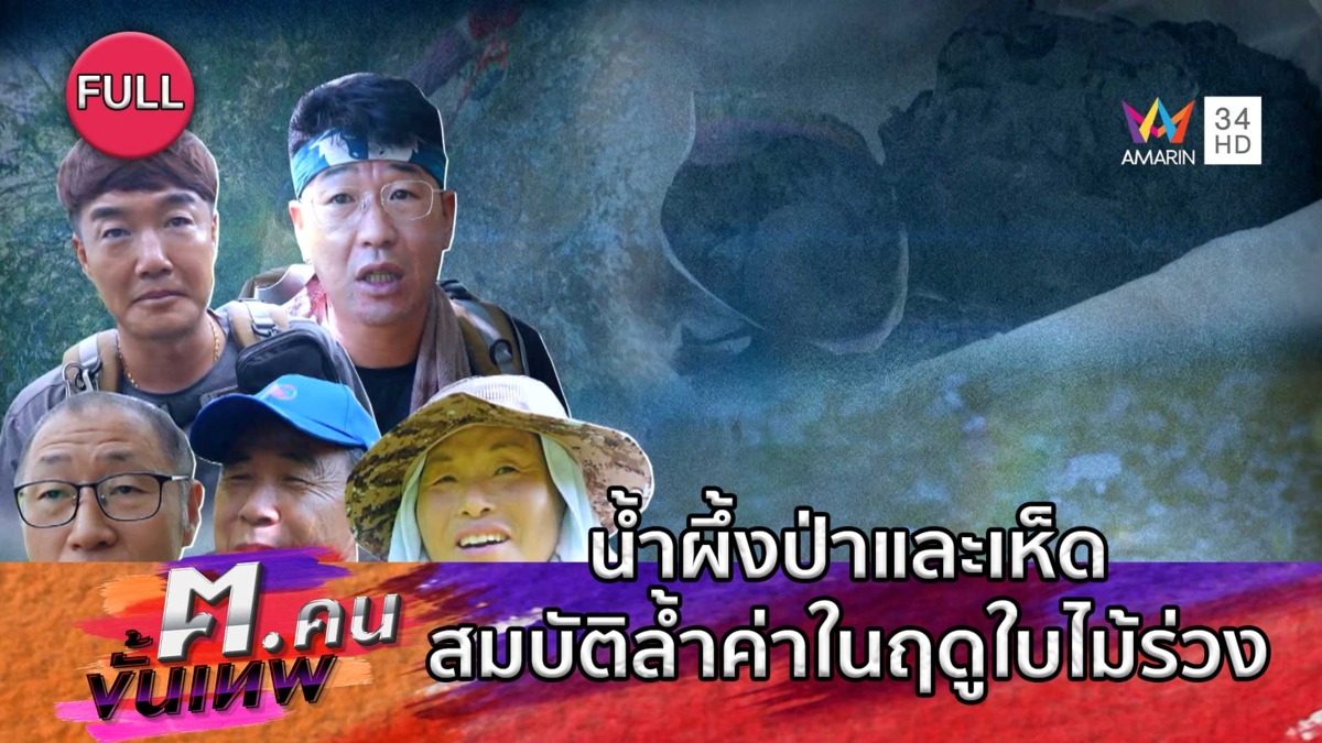 น้ำผึ้งป่าและเห็ด สมบัติล้ำค่าในฤดูใบไม้ร่วง | ฅ.คนขั้นเทพ