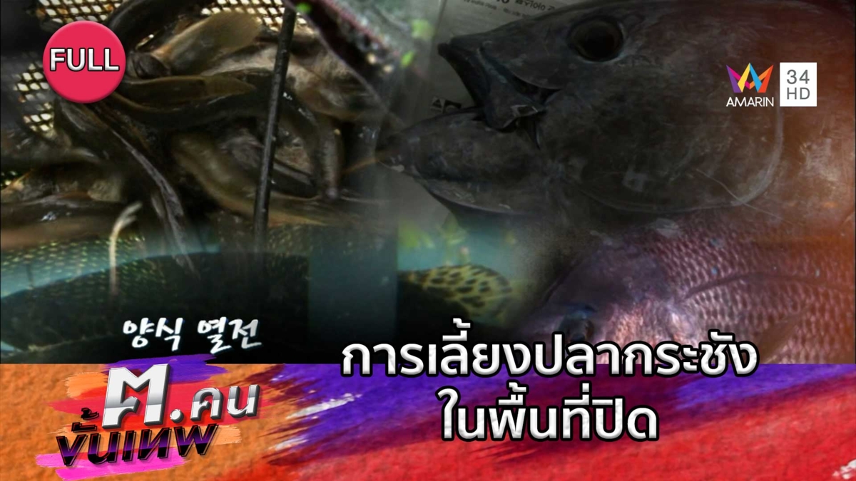 การเลี้ยงปลากระชังแบบปิด | ฅ.คนขั้นเทพ