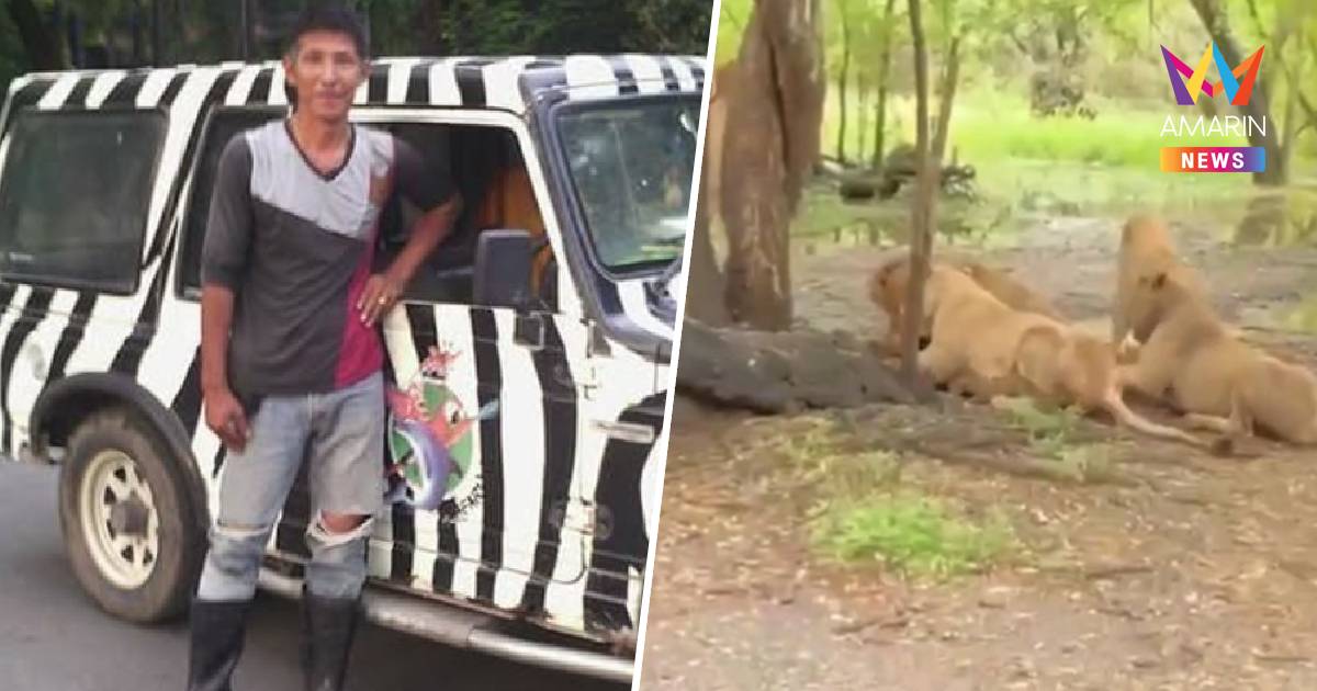 เปิดภาพเจ้าหน้าที่ดูแลสิงโต ถูกฝูงสิงโตรุมขย้ำเสียชีวิต