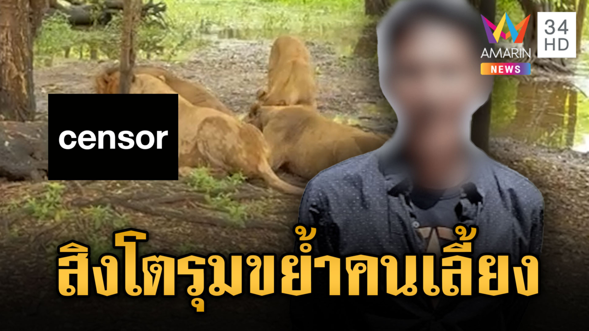 “หมอธวัชชัย” เล่านาทีฝูงสิงโตรุมขย้ำเจ้าหน้าที่สวนสัตว์เสียชีวิต