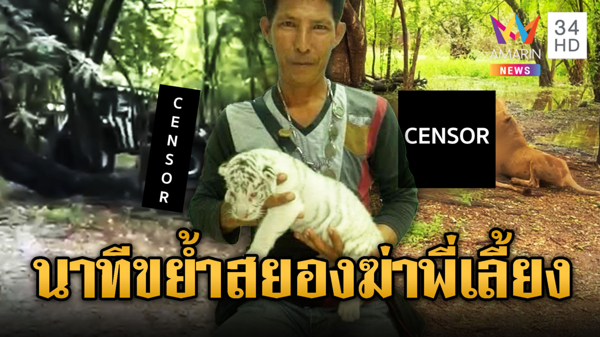 จนท.ซาฟารี หันหลังให้สิงโตถูกขย้ำดับสยอง