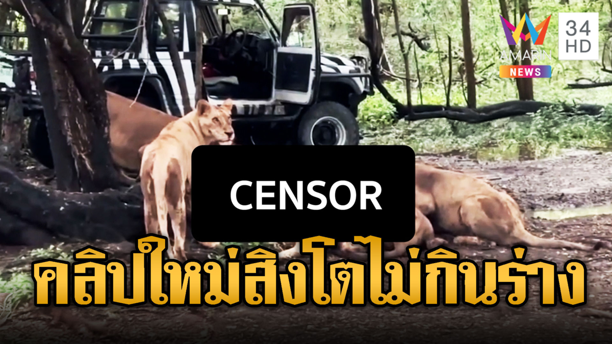 เปิดคลิปใหม่ แก๊งสิงโตรุมขย้ำพนักงาน แล้วทำไมมันหนีไม่กินร่าง
