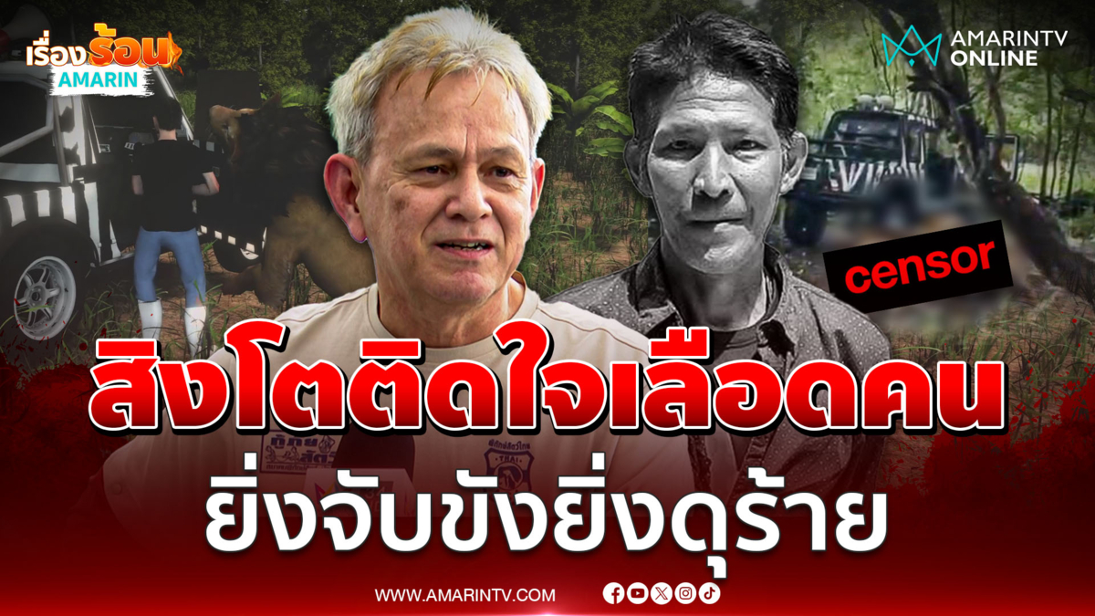 ผู้เชี่ยวชาญ เตือนระวังสิงโตติดใจเลือดมนุษย์ ยิ่งจับขังยิ่งดุร้าย