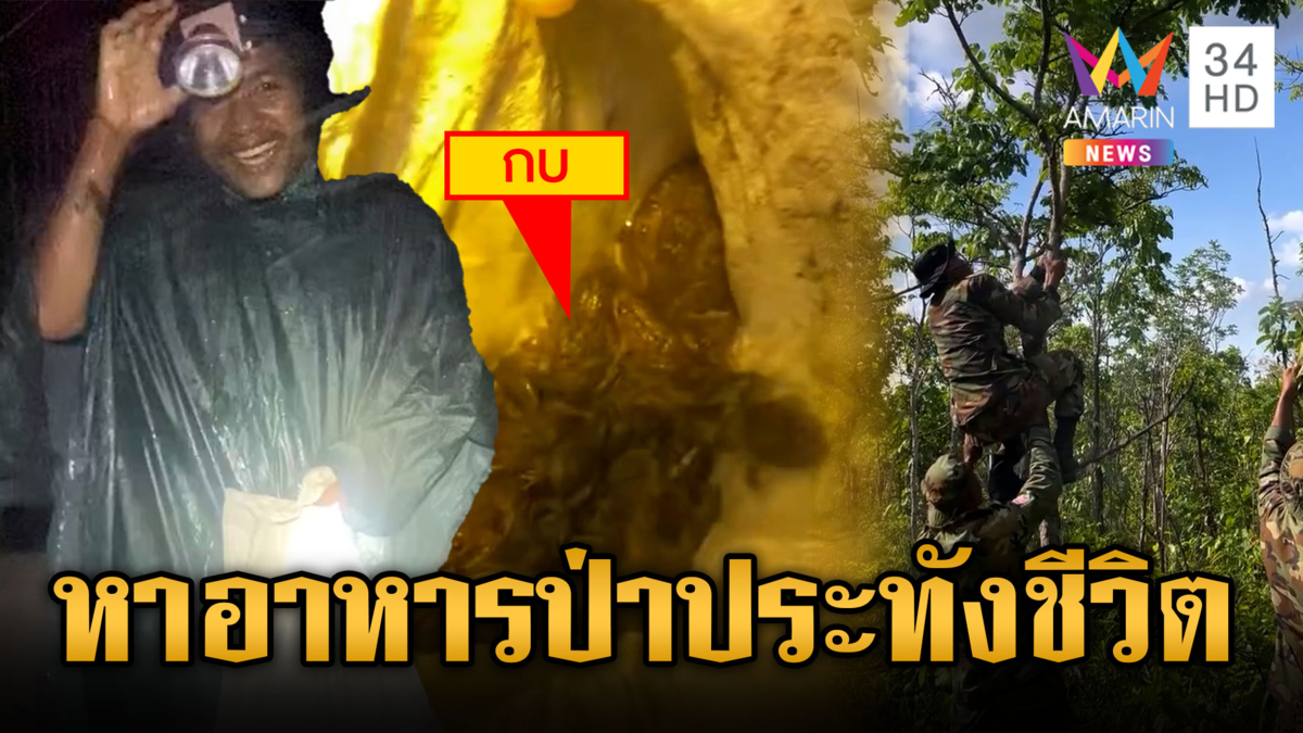เขมรแนวหน้าชีวิตรันทด ต้องหาอาหารป่ากินประทังชีวิต