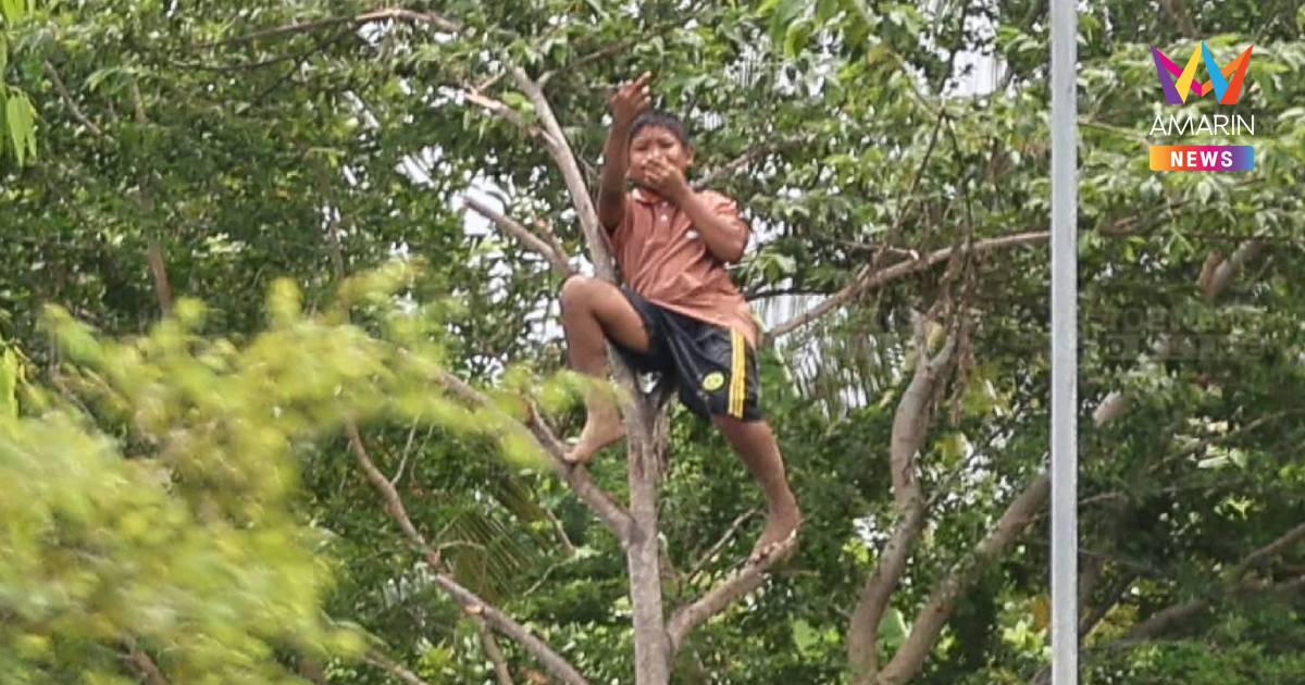 เปิดภาพนาทีเด็กเขมรปีนต้นไม้ชูนิ้วกลางให้นักข่าวและทหารไทย