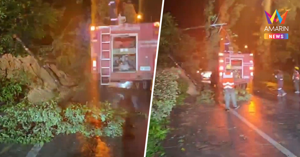 ฝนตกหนัก ดินข้างถนนสไลด์ หิน-ต้นไม้ ปิดถนนพหลโยธิน ลำปาง-งาว