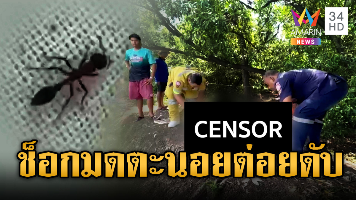 แพ้พิษมดตะนอย หนุ่มทนไม่ไหวชักเกร็งดับ