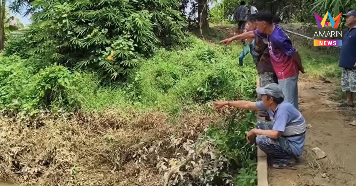 ชาวบ้านสุโขทัยผวาข่าวลือ จระเข้หลุดในแม่น้ำยม หลังสุนัขหายไป 2 ตัว