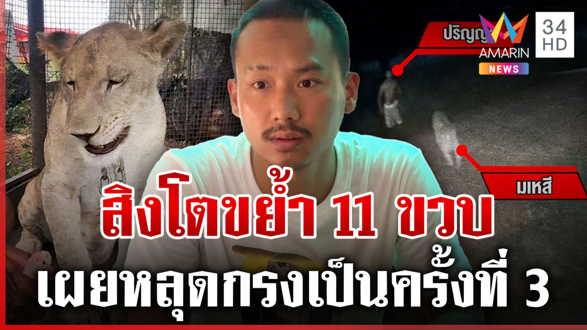 ช็อก! สิงโตขย้ำ 11 ขวบเจ็บ อินฟลูฯ ดังขอโทษ อ้างเป็นอุบัติเหตุ