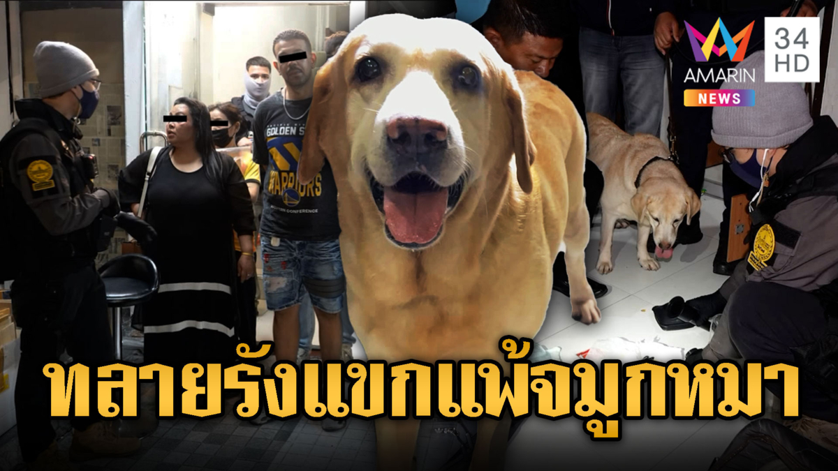 สารวัตรแจ๊ะทลายรังแขกเปิดห้องเสพยา แพ้จมูกหมา