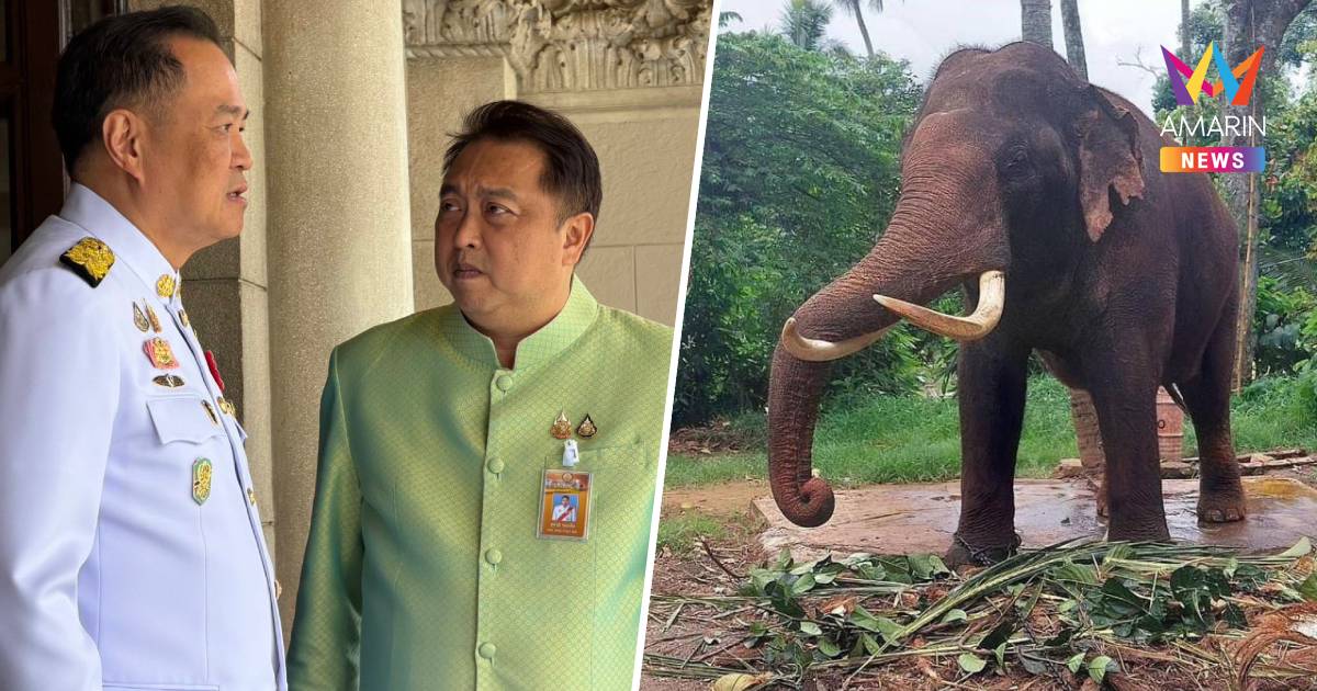 ไปด้วยตัวเอง! "สุชาติ" เตรียมบินดวนศรีลังกา นำทีมแพทย์ตรวจอาการ 2 พลาย