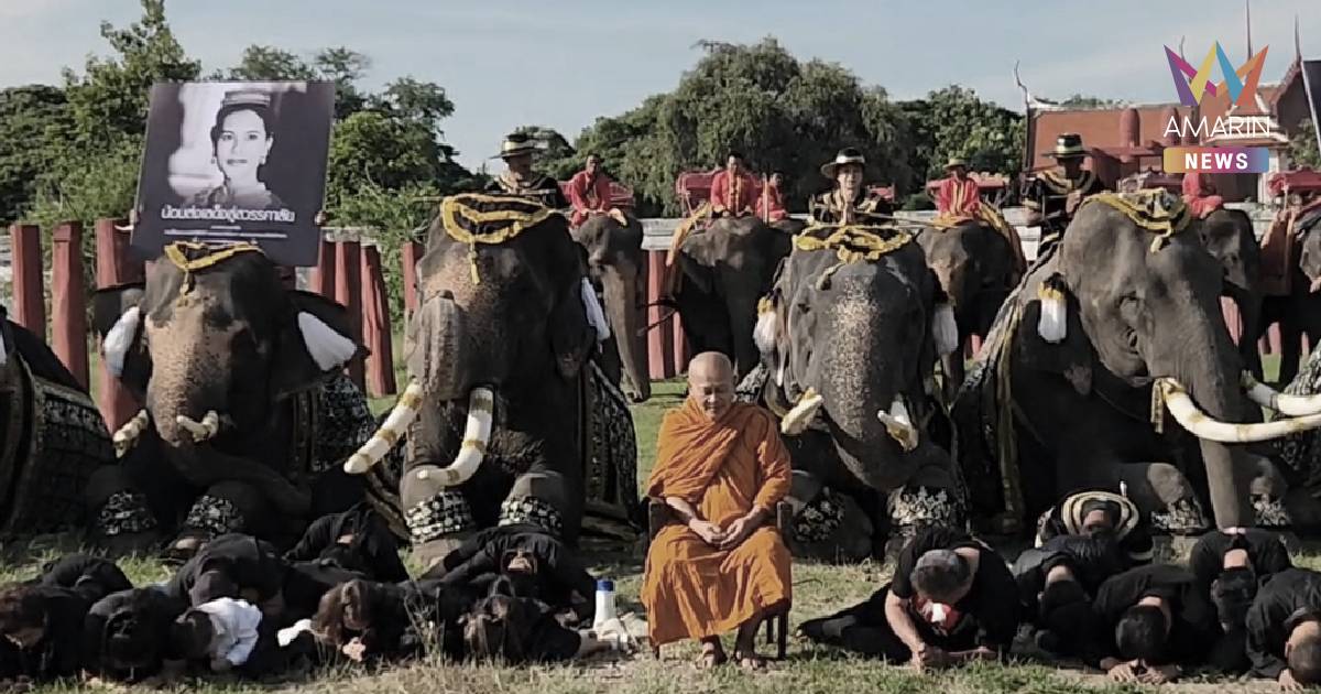 ควาญช้าง - ช้างอยุธยา ถวายความอาลัย สมเด็จพระพันปีหลวง