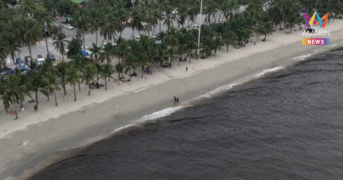 ไขข้อสงสัย ทะเลบางแสน ปีนี้ไม่เป็นสีเขียว แต่กลายเป็นสีดำ