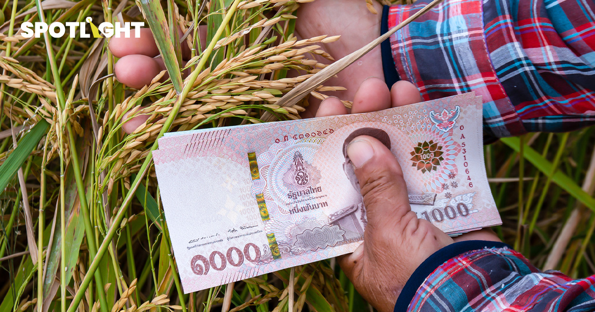 ราคาข้าวไทยตกต่ำ ทำชาวนาลำบาก รัฐบาลมีแนวทางช่วยอย่างไร ?