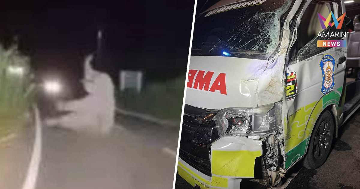 ระทึก! รถพยาบาลพังยับ ชนช้างป่า ระหว่างนำคนเจ็บส่งโรงพยาบาล