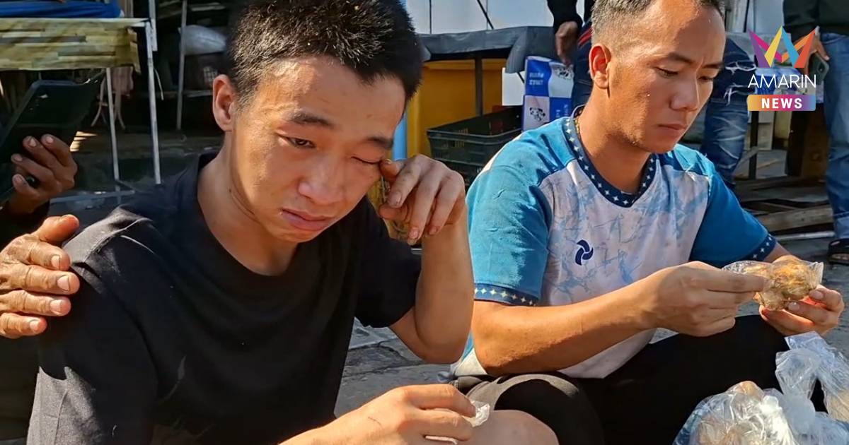 2 หนุ่มเวียดนามร้องไห้ตัวสั่น หนีสแกมเมอร์ข้ามแดนกลัวถูกลูกหลงเหตุปะทะ