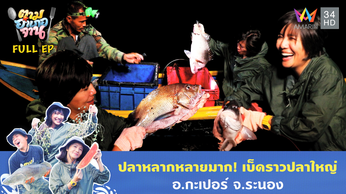 ปลาหลากหลายมาก! เบ็ดราวปลาใหญ่ อ.กะเปอร์ จ.ระนอง