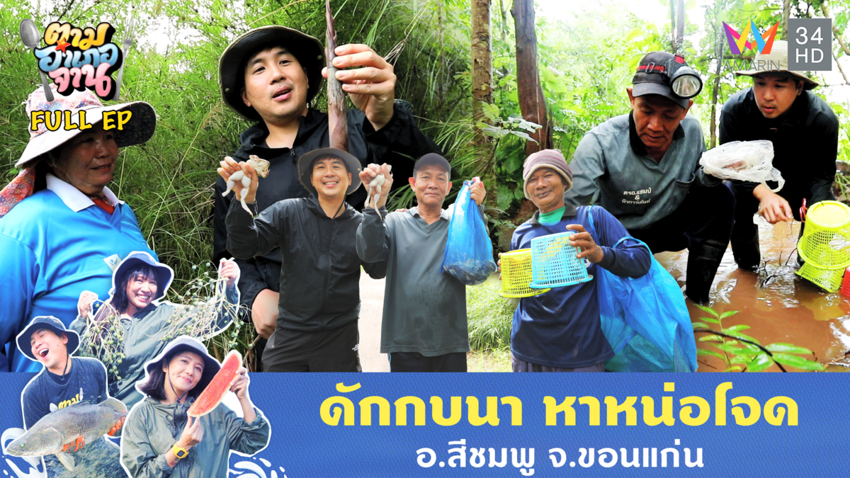 ดักกบนา หาหน่อโจด อ.สีชมพู จ.ขอนแก่น