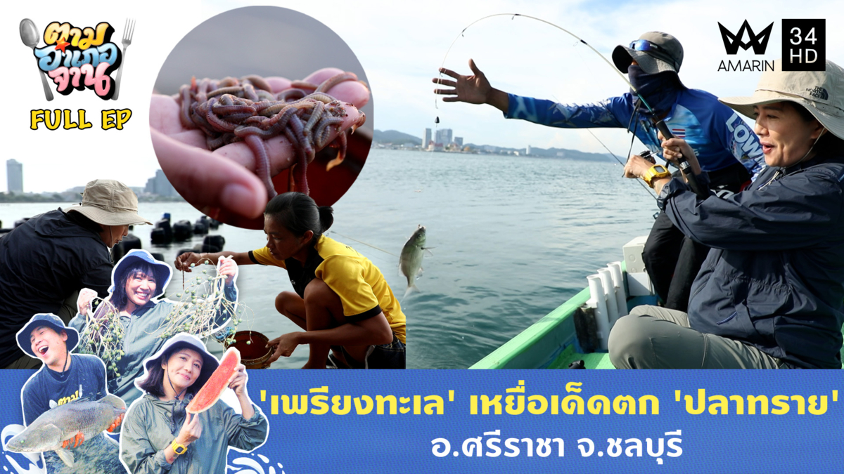 หมานมาก! ตกปลาเหยื่อเพรียงทราย อ.ศรีราชา จ.ชลบุรี