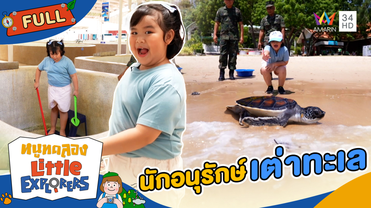 นักอนุรักษ์เต่าทะเล