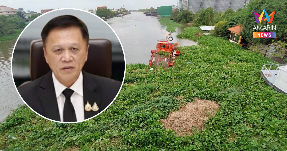 กรมโยธาธิการและผังเมือง ส่งเรือกำจัดผักตบชวา ร่วมแก้ปัญหาการระบายน้ำในแม่น้ำท่าจีน