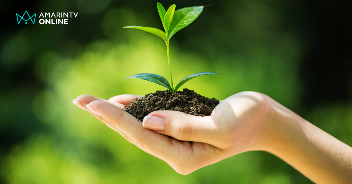 เปิดลิสต์พันธุ์ไม้มงคลพระราชทานทั่วไทย สัญลักษณ์ทางธรรมชาติแห่งแผ่นดิน