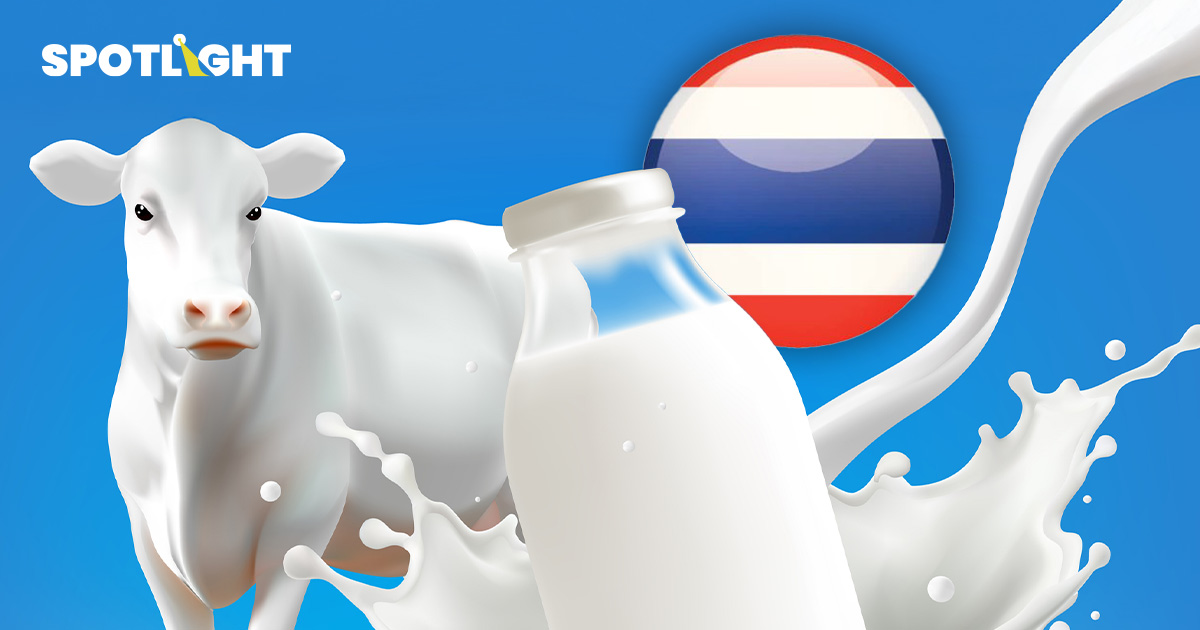 ส่องตลาดนมพร้อมดื่ม 38,000 ล้าน แบรนด์ไหนครองส่วนแบ่งเท่าไหร่